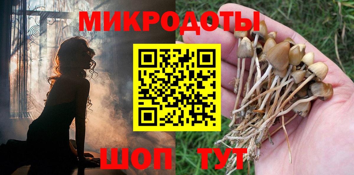 Галлюциногенные грибы мицелий  Псилоцибиновые грибы мухоморы  даркнет сайт  Вход с VPN  Городец 